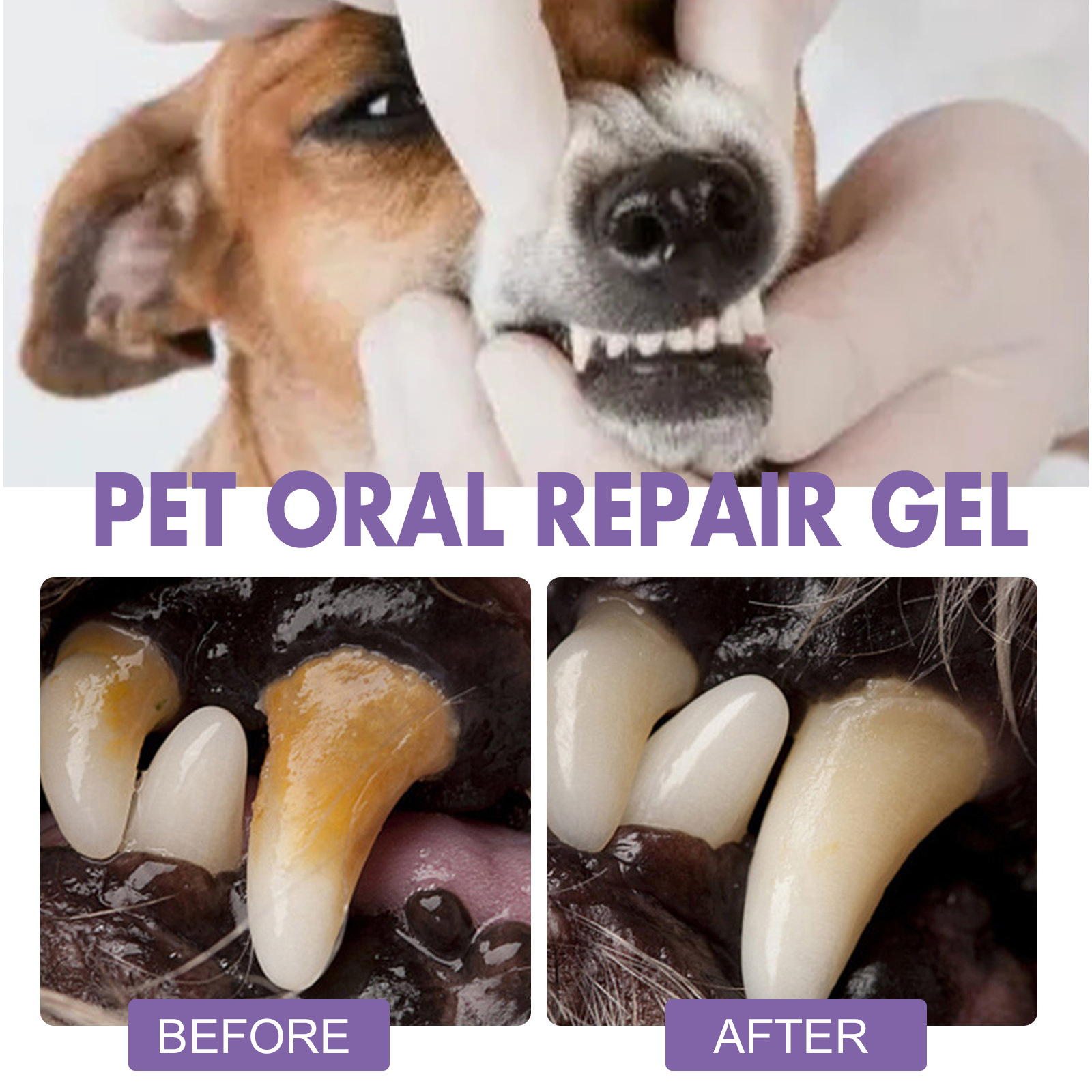 Gel perbaikan mulut hewan peli - Teeth Whitening With Peroxide ulasan dan harga